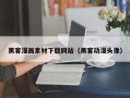 固安黑客漫画素材下载网站（黑客动漫头像）